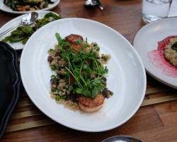 Day Boat Scallops, peas, morels, orzo perlato